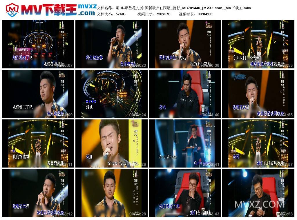 羽田-那些花儿(中国新歌声)_国语_流行_MC701446